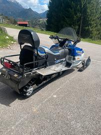 Motoslitta turbo arctic cat bearcat