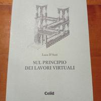 Principio dei lavori virtuali - Luca D’Acci (2002)