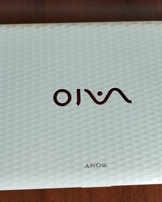 Computer portatile Sony 