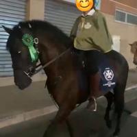 Pura Raza Espanola Capa negra