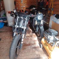 Forcelle Triumph Speed Triple 955i 