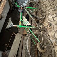 Bicicletta uomo