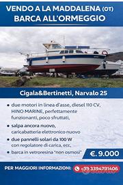 Cigala&Bertinotti - Narvalo 25