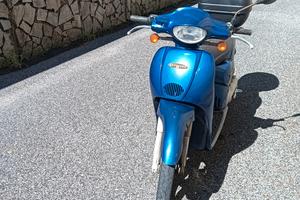 Aprilia scarabeo 50