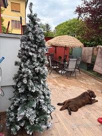 Albero di natale