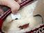 Immagine 6