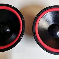 Coppia woofer 30 Cm 300W 8ohm Audio service Italia