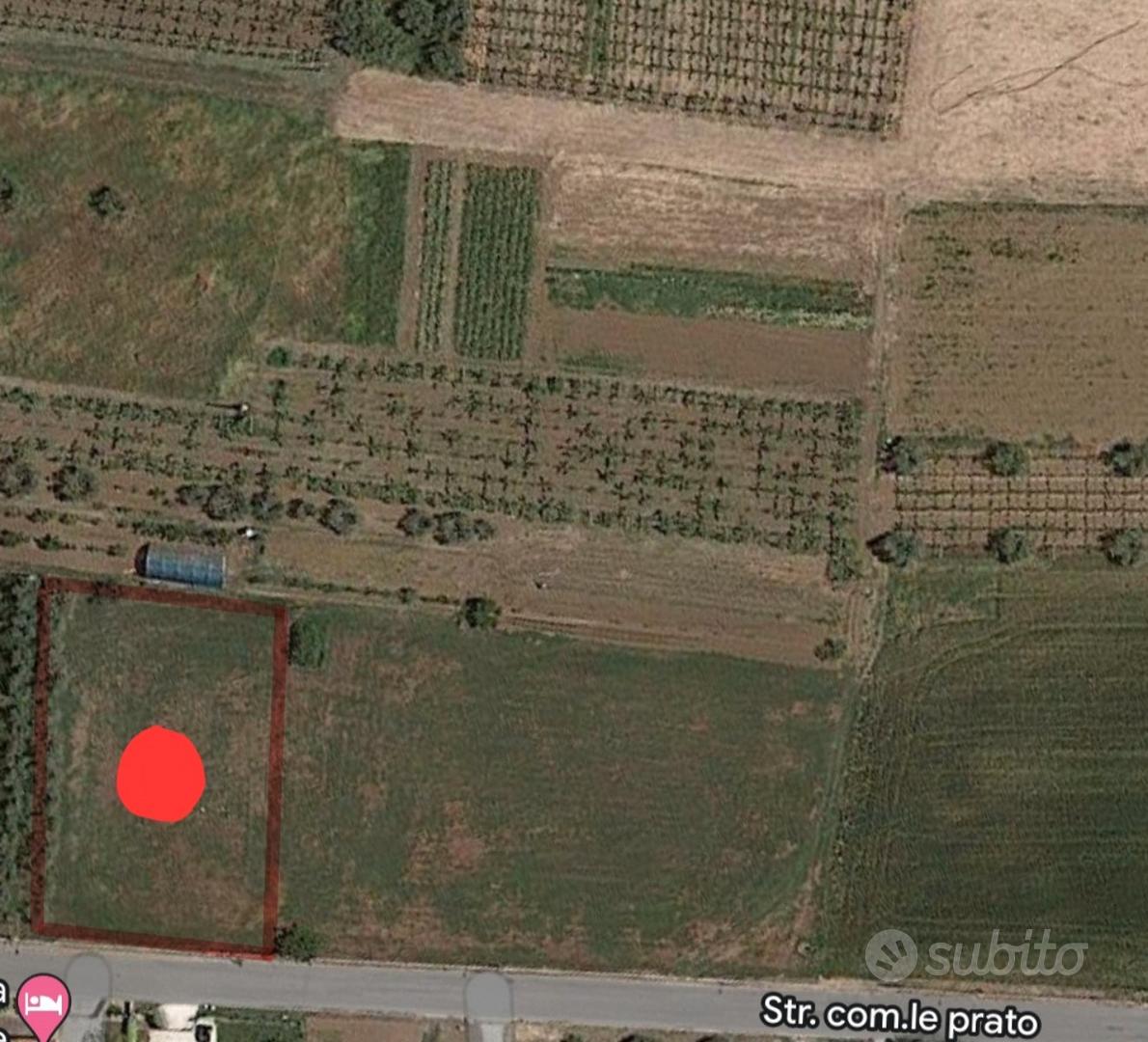 Terreno Agricolo 1.677 MQ Frontestrada con utenze - Vista 3