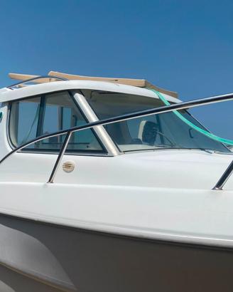 Sessa Dorado 22