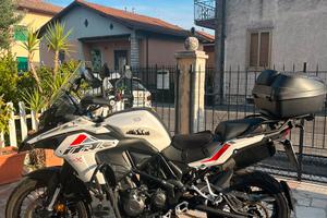 Benelli trk 502x