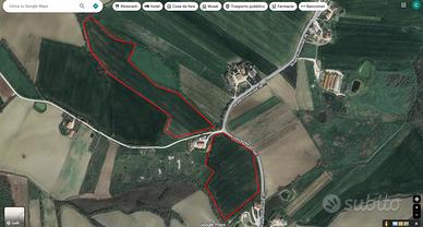 Montecarotto n°2 appezzamenti di terreno