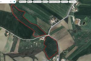 Montecarotto n°2 appezzamenti di terreno