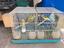 Immagine 5