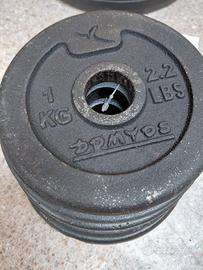 Pesi in ghisa DOMYOS