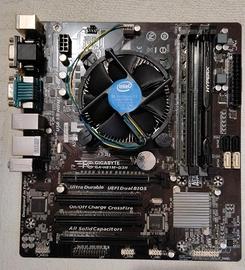 Scheda madre Gigabyte H81M-D3H + i5-4460 + 8 GB
