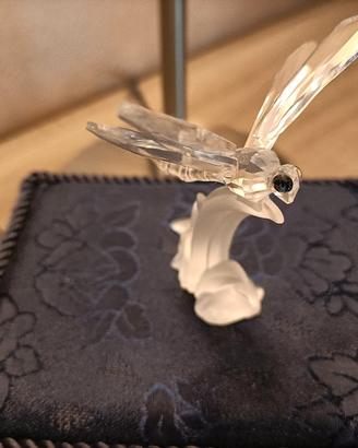 Libellula Swarovski