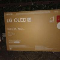 TV LG OLED 48 pollici