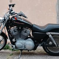 HD Sportster 883 XL Custom del 2004 (carburatore)