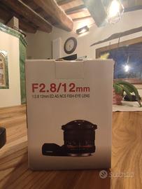 samyang 12 mm fisheye  nikon