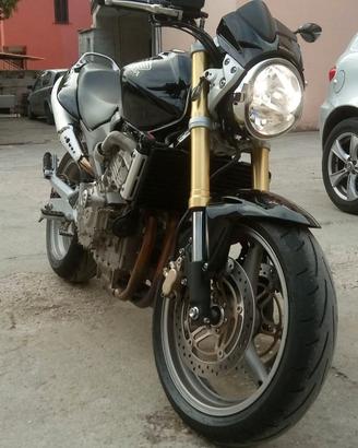 Honda hornet