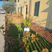 Appartamento piano terra
