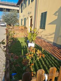 Appartamento piano terra