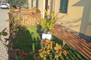 Appartamento piano terra