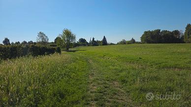 Terreni agricoli a Casale Cima Santa Cristina