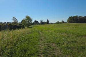 Terreni agricoli a Casale Cima Santa Cristina