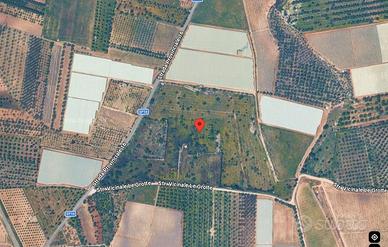 Terreno 7,5 ha