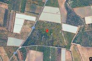 Terreno 7,5 ha