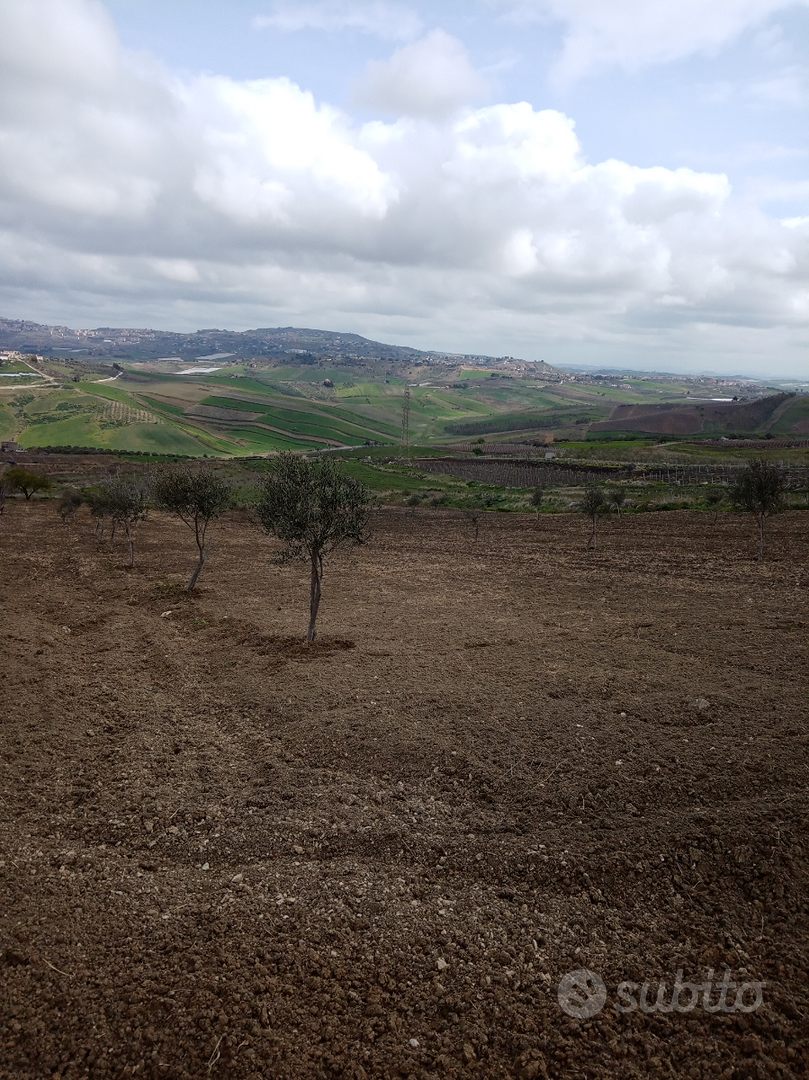 Terreno con rustico di circa 60000 (24 tumoli circ - Vista 3