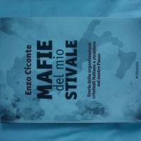 mafie del mio stivale (Enzo Ciconte)