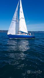 Imbarcazione Delta 31