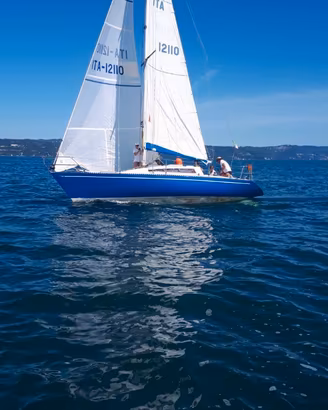 Imbarcazione Delta 31