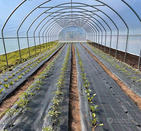 SERRE per agricoltura - dal 1966