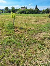 Terreno agricolo Empoli Est