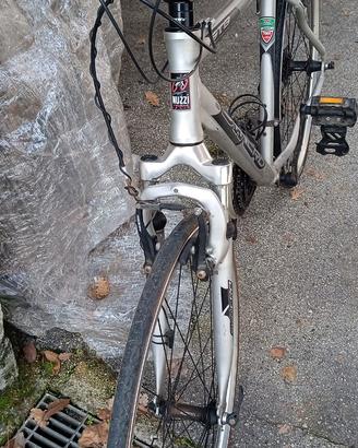 Bici ibrida 