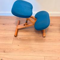 Sedia ergonomica