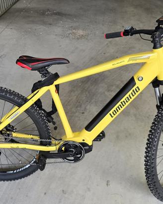 Bicicletta Lombardo Selinunte