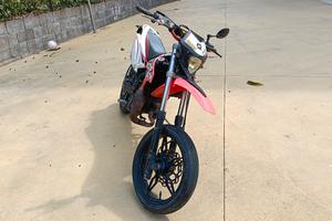 beta rr 50