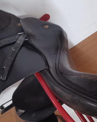 Dotazioni selle cavalli equitazione ippica ecc
