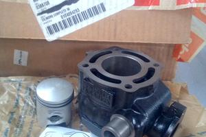 APRILIA CILINDRO COMPLETO SR 50 5RER000072