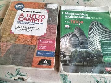 Libri scolastici 