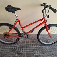 Bicicletta donna