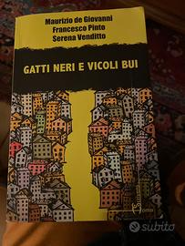 Gatti neri e vicoli bui. De Giovanni, Pinto etc