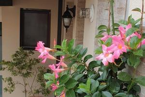 Appartamenti: Monolocali/Trilocali da Sett./Giugno
