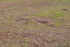 Terreno a Porto Viro provincia Ro