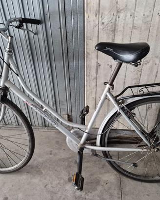 Bicicletta Vicini