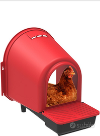 Nidi per galline che mangiano le uova